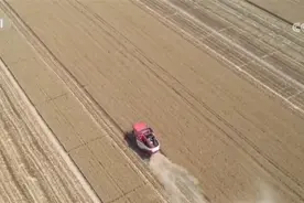 全国麦收进度已过九成 小麦主产区多措并举稳产保丰图片