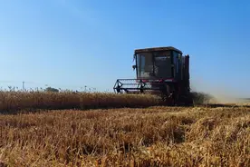 河北博野：抢抓农时做好夏收夏种图片