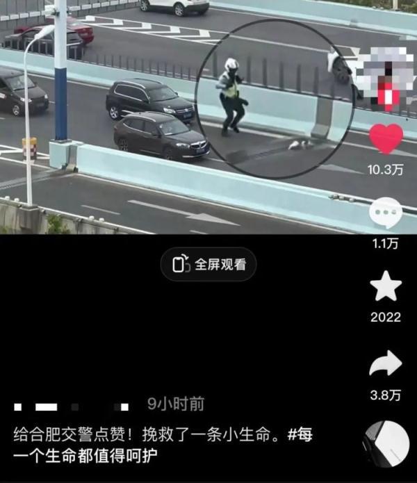 一猫一警，为何直冲热搜？