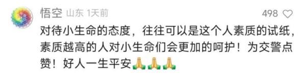 一猫一警，为何直冲热搜？