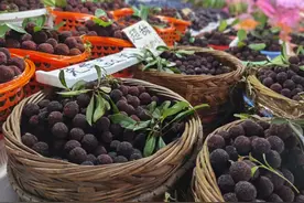 杨梅上市受欢迎，品尝泡酒两相宜图片