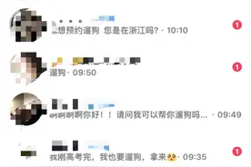 大学生“以证换狗”走红背后：有人收到上百名学生的遛狗请求，律师称帮忙遛狗需划分责任图片