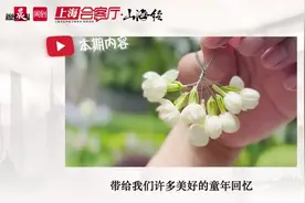 上海会客厅·山海经⑰ | 上海的香气，珍贵的记忆！那些还在卖栀子花白兰花的阿婆图片