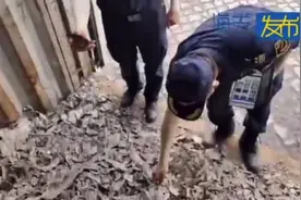 洋垃圾，拜拜图片