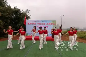 江夏凤凰社区和小李村联建 共办“捉鱼摸虾”系列活动图片