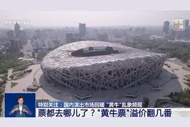 今年“黄牛”抢了你几张票？“买不到”的演出票都去哪儿了？图片