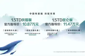 吉利星瑞扶摇版正式上市，售价10.87万-11.47万元图片