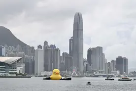 香港市民和游客送别“小黄鸭”图片