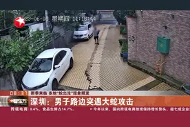 雨季来临 多地“蛇出没”现象频发 深圳：男子路边突遇大蛇攻击视频封面