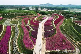 广水：增“颜值” 提“气质”，美丽乡村入画来图片