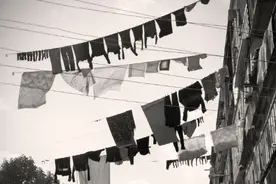 晒不干的衣服有味道？这些方法可以避免图片