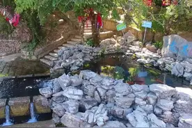 四季旅行·光影云南｜龙潭风光 清泉如画图片