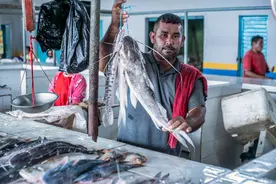 标普将巴西的长期前景从“稳定”提升到“正面”图片