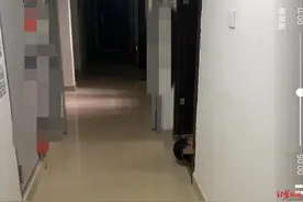 女子自曝经常遭邻居大叔趴地偷窥？物业称双方有矛盾曾互相投诉劝说无果 警方介入图片