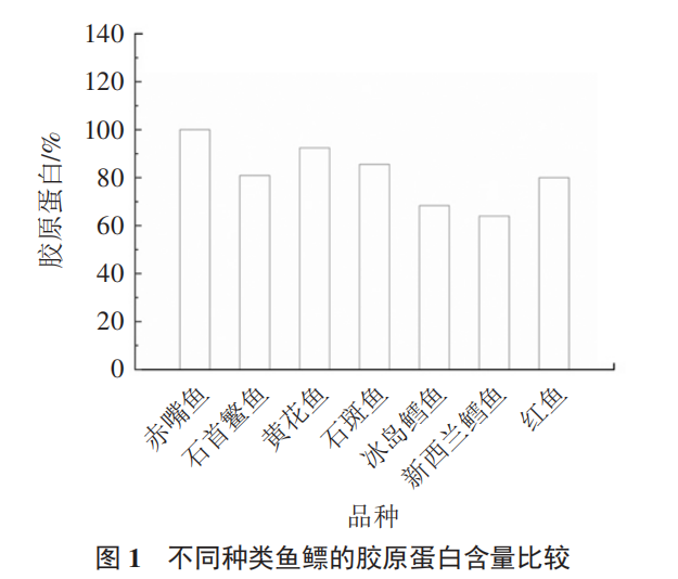 一个花胶 胶原蛋白含量 2026年花胶含胶原蛋白多少