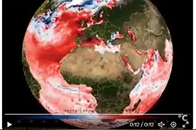 美国休斯敦体感温度46℃，印度近百人丧生：今年或成最热一年图片