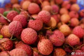 甜蜜来袭！宝安黄田荔枝进入最佳赏味期图片