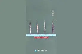 四连冠！祝贺洪湖龙舟队！图片