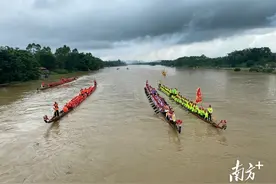 阳东区北惯镇那龙河上龙舟畅游，19条“蛟龙”游埠头迎端午图片