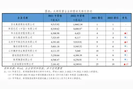 中国民营企业十强排行榜2023图片