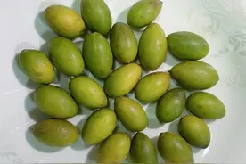 一枚小橄榄，养生功效多，还有食谱分享图片