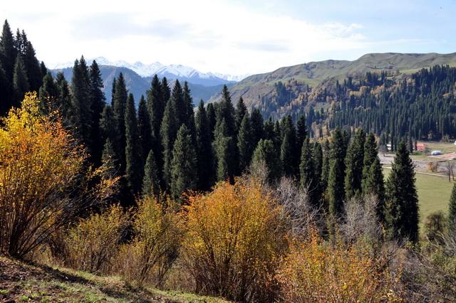 整合归并、撤销、新建，自然保护地整合优化陆续成型