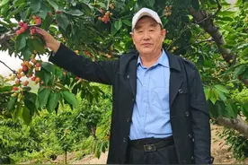 遇事应多往好处想（随笔）图片