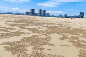 大海·张玉霞图片