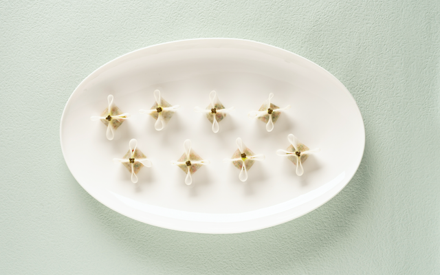 南京哪里买花胶海参 2026年南京哪里买花胶海参便宜 南京哪里买花胶海参 2026年南京哪里买花胶海参便宜