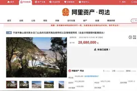 “中国第一无人岛”易主，岛上生活是否如想象中美好？图片