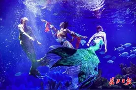 喂动物吃粽子、美人鱼穿汉服……武汉极地海洋公园又有新玩法图片