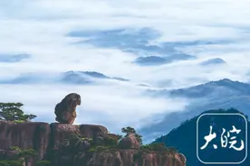 夏日避暑胜地黄山 18℃的清凉与多彩之旅图片