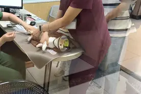 宠物看病比人贵？猫咪骨折花费上万，专家挂号费三百图片
