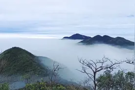 郴州莽山打造全程无障碍通道！残障人士也能登高千米欣赏风景图片