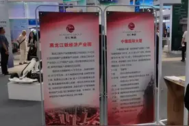 依托新区释放“六区叠加”政策优势 黑龙江新经济产业园“哈洽会”引关注图片