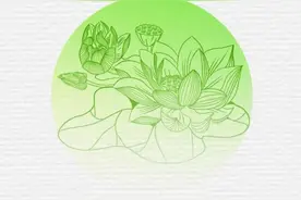 夏至｜向阳而立，逐光而行图片