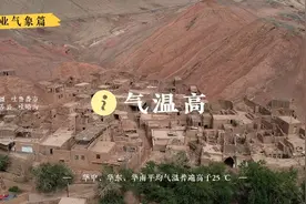 夏至——时夏方长，盛暑将至图片