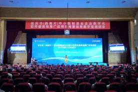 安庆市发放软件服务包消费券1000万元图片