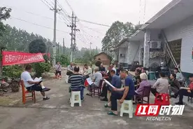 大通湖区北洲子镇：自治自理“小屋场” 宜家宜居“大治理”图片
