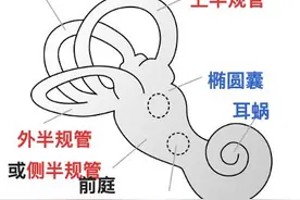 90后小伙睡醒后突然头晕呕吐！原来是这些“小石头”跑偏了图片