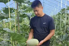 阳新90后新农人蹚出甜蜜致富路图片