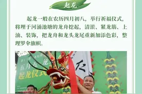 五月五，扒龙舟！赛龙夺锦、争艳竞渡……端午那些事儿有讲究图片
