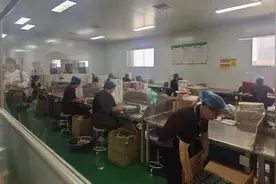 端午采艾，“黄金叶”盛，千年传统民俗在南召焕发活力图片