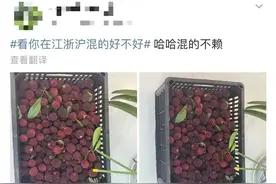 这种水果正大量上市！但这类人食用千万小心图片
