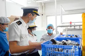 江门非遗粽出口，“土特产”出海旺了“县产业”图片