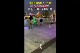 青蛙人偶与狗子“吵架”用“魔法打败魔法”，网友：主打一个出其不意图片