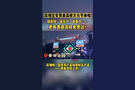 来宝安吃荔枝 听音乐 逛市集 黄田荔枝文化节来啦！图片