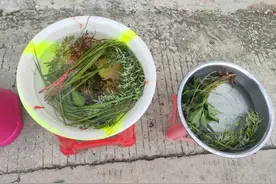 投票｜取午时水、洗港……深汕端午民俗你知多少？图片