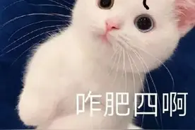 上海这一幕被疯狂点赞！网友：司机们的素质扎台型！图片