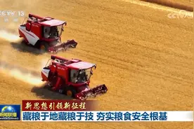 藏粮于地藏粮于技 夯实粮食安全根基图片